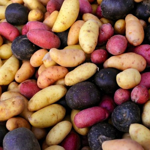 sebzeler/toptan-patates