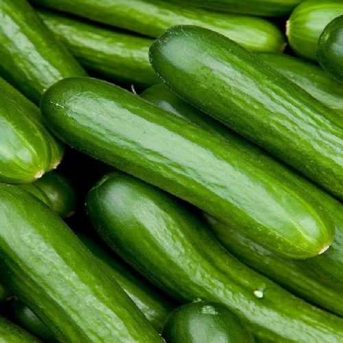 sebzeler/toptan-salatalik